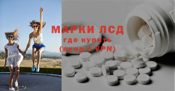 индика Алексин