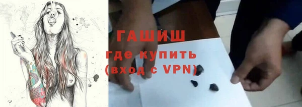 индика Алексин