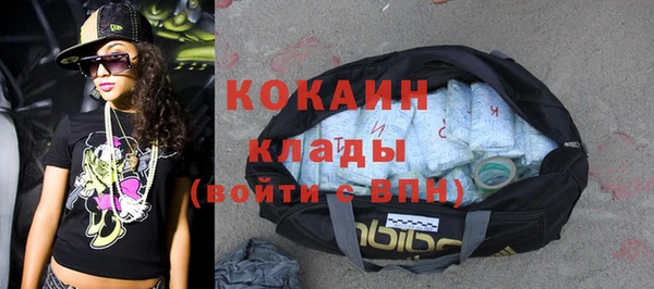 индика Алексин