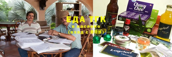 индика Алексин